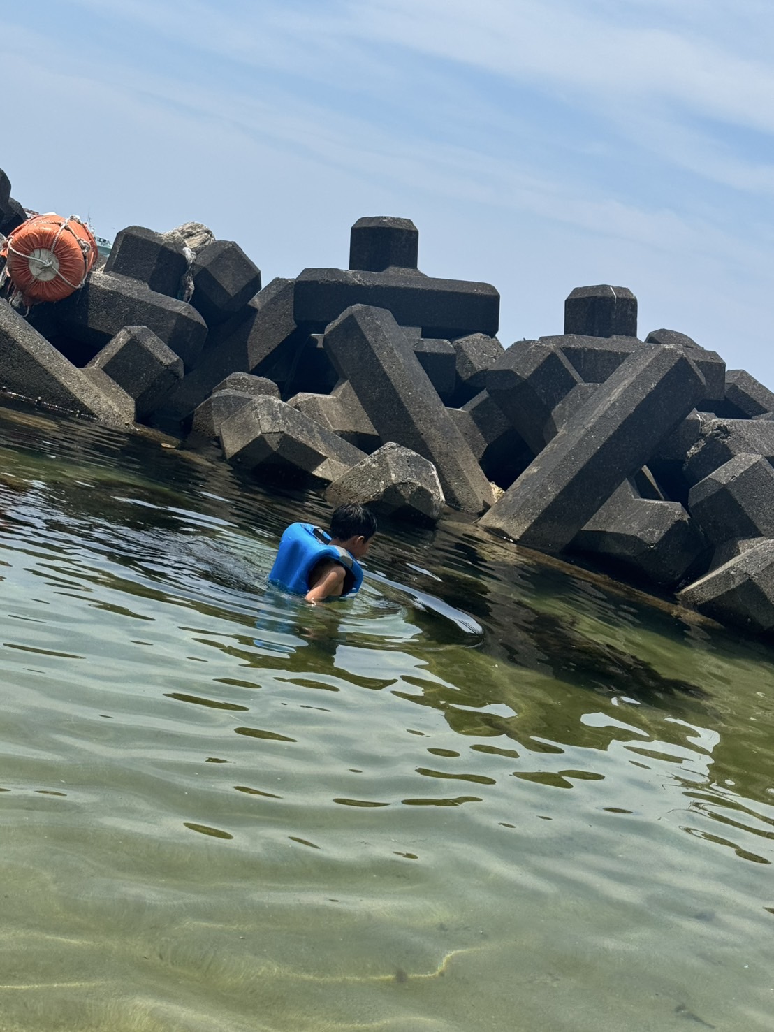 海